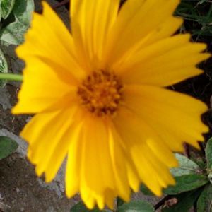 Meet your Posher, Beverly